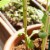 OwnGrown 4x66ft Green Garden Wire: Florist, Plant Support, Craft & Climbing Plant Wire Perspective: back