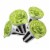 aspara Green Lettuce Seed Capsules Perspective: back