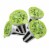 aspara Mizuna Seed Capsules Perspective: back