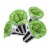 aspara Butterhead Lettuce Seed Capsules Perspective: back