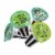 aspara Salad Special Seed Capsules Perspective: back