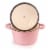 BergHOFF Neo Cast Iron Round Stockpot Dish - Pink Perspective: back