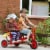 Winther Viking Twin Taxi Tricycle - Red Perspective: back