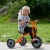 Winther Medium Circleline Tricycle - Orange Perspective: back