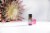 SOiL Organic Rose Geranium Essential Oil (Pelargoneum Graveolens) 10ml Perspective: back