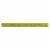 Green BeaverThe Toothpaste - Cilantro Mint Toothpaste - Case of 1 - 2.5 fl oz. Perspective: back