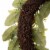 Glitzhome Wooden Window Frame with Greenery Lemmon Wreath Perspective: back