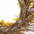 Glitzhome Wooden Window Frame With Artificial Winter Jasmine Wreath Perspective: back