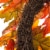 Glitzhome Wooden Window Frame with Sunflower Wreath Perspective: back