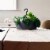 Tree Nest Sunny Round Hanging Planter 12 Inch, Dark Gray Perspective: back