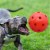 Noa Store 10  Unbreakable Dog Ball Toy - Durable & Lightweight Perspective: back