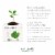 Eco by Naty Compostable Nursing Pads 360 Count Perspective: back