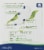 Organyc® Heavy Flow Night Cotton Pads Perspective: back