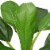 vidaXL Artificial Banana Tree Plant with Pot 59  Green Perspective: back