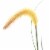 vidaXL Artificial Grass Plant with Cattail 53.1 Perspective: back