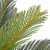 vidaXL Artificial Plant Cycas Palm with Pot Green 35.4 Perspective: back