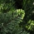 vidaXL Artificial Christmas Tree with Pine Cones Green 5 ft Perspective: back