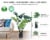 flybold Artificial Monstera Deliciosa Plant - 43  Tall, 12 Leaves, Lifelike & Natural Perspective: back