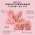 MCoBeauty Super Soft Cosmetic Headband & Wristband Set Perspective: back