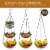 REGAL TRUNK  CO 3 Tier Hanging Fruit Basket Perspective: back