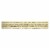 Castor and Pollux Organic Grain Free Cat Food - Chicken and Liver Pate - Case of 24 - 5.5 oz. Perspective: back