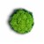 Nature's Reward® Green Cauliflower Perspective: bottom