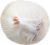 Kroger® Whole Garlic Bulbs Perspective: bottom