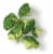 Kroger® Broccoli Florets BIG Deal! Perspective: bottom
