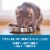 Purina ONE® Vibrant Maturity 7+ Natural Senior Dry Cat Food Perspective: bottom