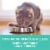 Purina ONE® Sensitive Skin & Stomach Natural Adult Cat Food Perspective: bottom