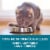 Purina ONE® Tender Selects Blend with Real Chicken Natural Dry Cat Food Perspective: bottom