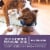 Purina ONE® SmartBlend Vibrant Maturity® Adult 7+ Formula Senior Dry Dog Food Perspective: bottom