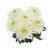 Disbud Flower Bouquet Perspective: bottom