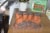 The Golden Girls Rushmore Chia Pet Decorative Planter Toynk Exclusive Perspective: bottom