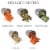 Vegetable Chopper, Food Processor with Stainless-Steel Shredders With 5 Quart Mixing Bowl Perspective: bottom