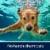 Morton® Professional's Choice® Pool Salt Perspective: bottom