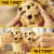 Nestle® Toll House® Dark Chocolate Chips Perspective: bottom