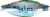 Blue Buffalo Nudges Homestyle Chicken and Pork Natural Dog Treats Perspective: bottom