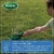 Scotts® Patchmaster® Lawn Repair Mix Perspective: bottom