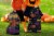 Jay Franco Hocus Pocus Trick or Treat Pillowcase Perspective: bottom