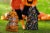 Jay Franco Mickey and Minnie Mouse Trick or Treat Pillowcase Perspective: bottom