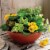 Akro-Mils Garden Bowl - Clay Perspective: bottom