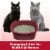 Arm & Hammer Odor Sealing Multi-Cat Clump & Seal Litter Perspective: bottom
