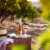Segura Viudas Brut Rose Reserva Cava Spain Sparkling Wine Perspective: bottom