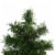 Northlight Set of 3 Slim Woodland Alpine Artificial Christmas Trees 5' - Unlit Perspective: bottom