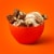 REESE'S STICKS Milk Chocolate Peanut Butter Wafer Candy Bar Perspective: bottom