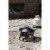 Bond Aurora Camping Gas Firebowl Perspective: bottom