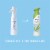 Febreze Bamboo Light Odor-Eliminating Air Freshener Perspective: bottom