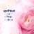 Downy Fresh Protect April Fresh In-Wash Scent Booster Beads Perspective: bottom
