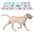 Adams Flea & Tick Collar For Dogs & Puppies Perspective: bottom